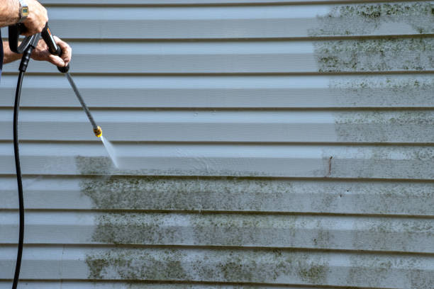 Best Shed Removal  in Darby, PA